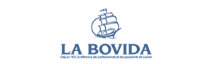 La Bovida